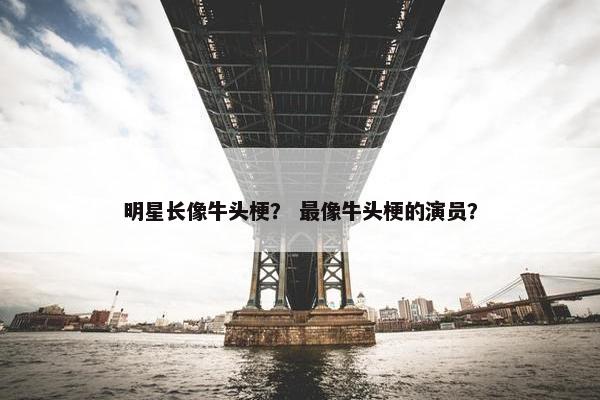 明星长像牛头梗？ 最像牛头梗的演员？