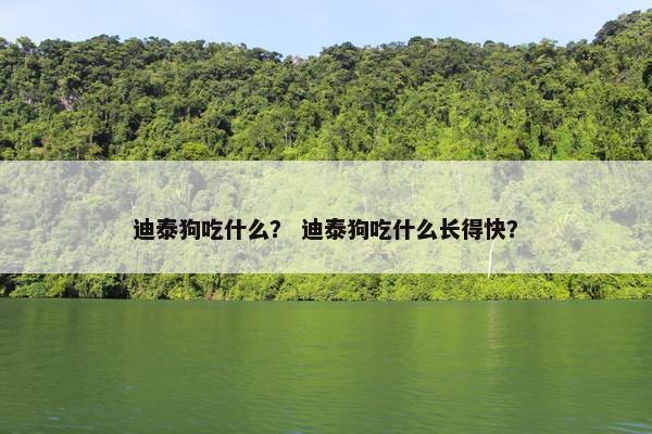 迪泰狗吃什么？ 迪泰狗吃什么长得快？