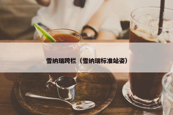 雪纳瑞跨栏（雪纳瑞标准站姿）
