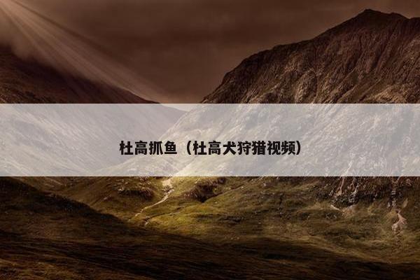 杜高抓鱼（杜高犬狩猎视频）