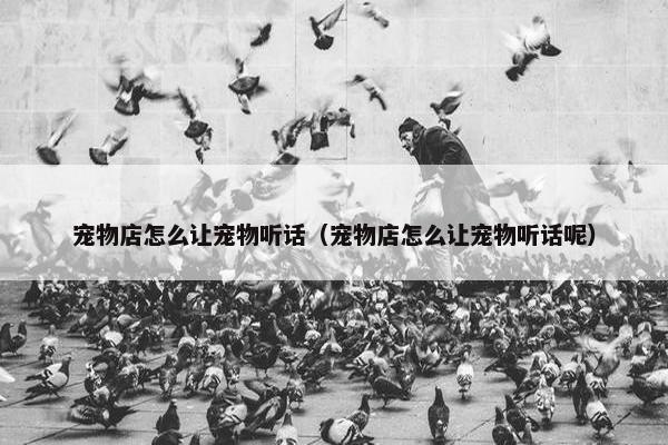 宠物店怎么让宠物听话（宠物店怎么让宠物听话呢）