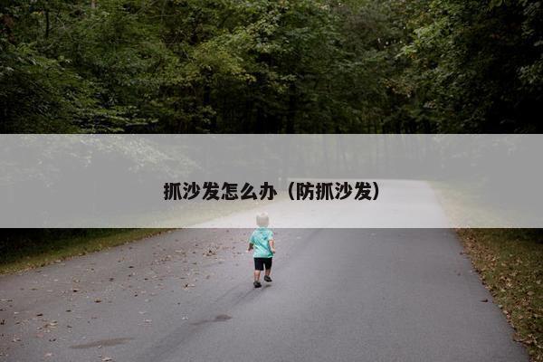 抓沙发怎么办（防抓沙发）
