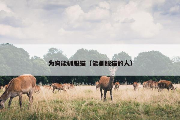 为狗能驯服猫（能驯服猫的人）