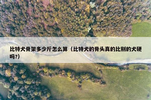 比特犬骨架多少斤怎么算（比特犬的骨头真的比别的犬硬吗?）