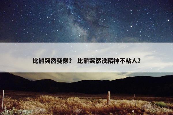 比熊突然变懒？ 比熊突然没精神不粘人？