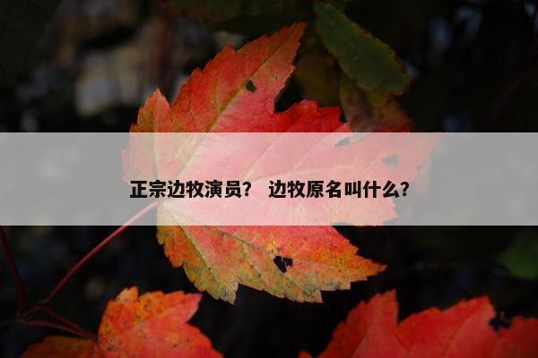 正宗边牧演员？ 边牧原名叫什么？