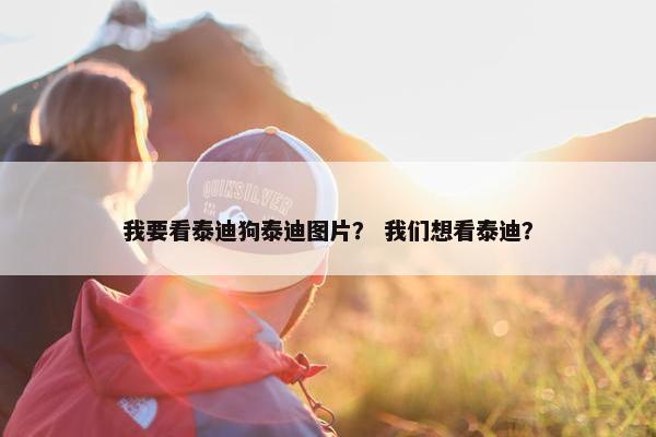 我要看泰迪狗泰迪图片？ 我们想看泰迪？