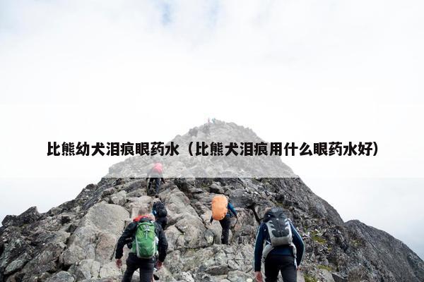 比熊幼犬泪痕眼药水（比熊犬泪痕用什么眼药水好）