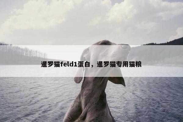 暹罗猫feld1蛋白，暹罗猫专用猫粮