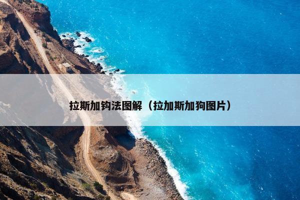 拉斯加钩法图解（拉加斯加狗图片）