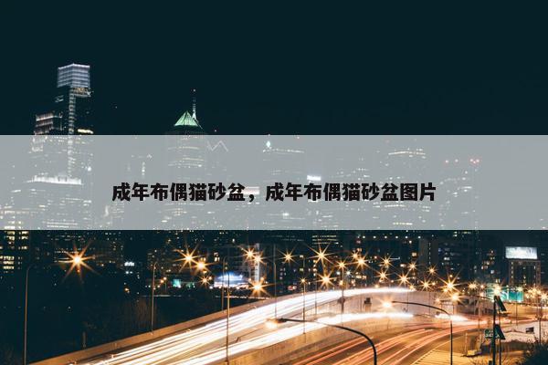 成年布偶猫砂盆，成年布偶猫砂盆图片