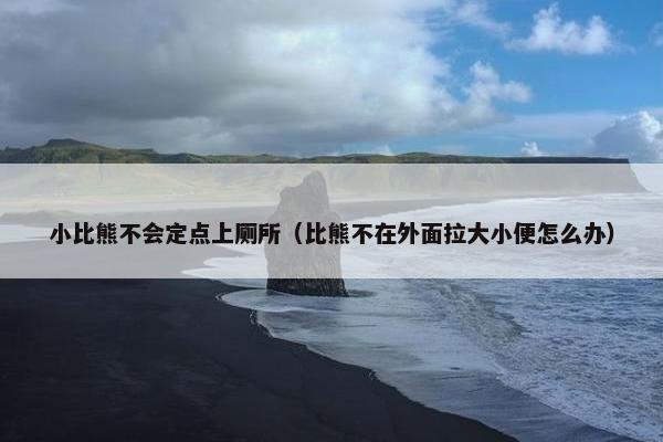 小比熊不会定点上厕所（比熊不在外面拉大小便怎么办）