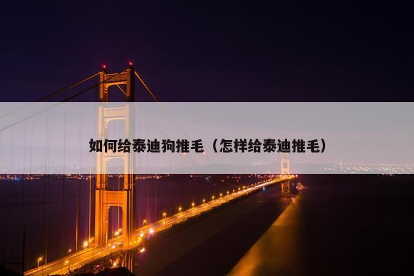 如何给泰迪狗推毛（怎样给泰迪推毛）
