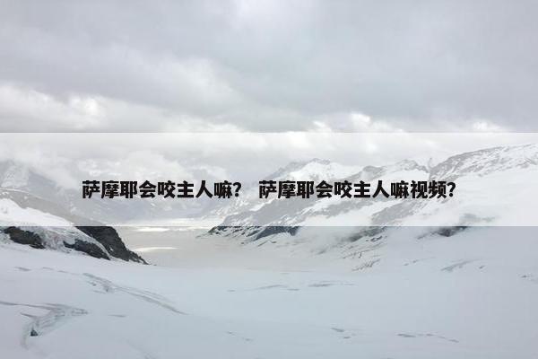 萨摩耶会咬主人嘛？ 萨摩耶会咬主人嘛视频？