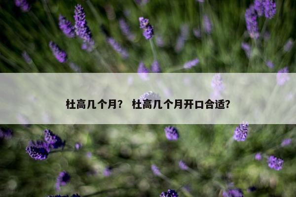 杜高几个月？ 杜高几个月开口合适？