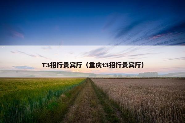 T3招行贵宾厅（重庆t3招行贵宾厅）