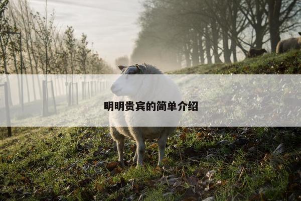 明明贵宾的简单介绍