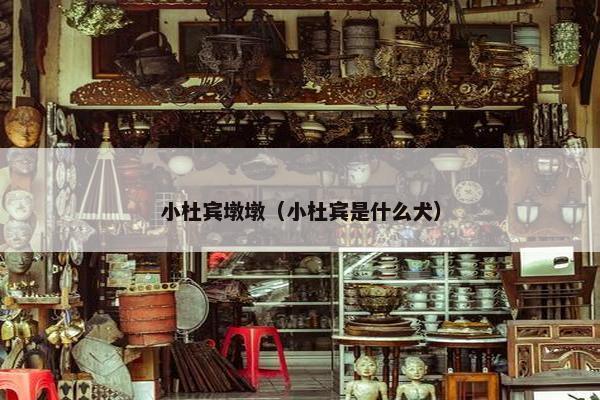 小杜宾墩墩（小杜宾是什么犬）