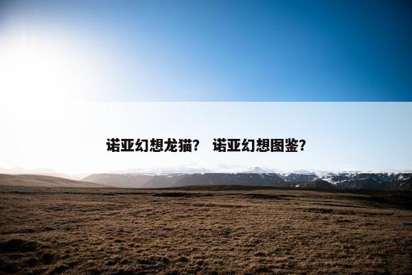 诺亚幻想龙猫？ 诺亚幻想图鉴？