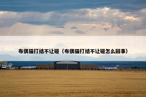 布偶猫打结不让碰（布偶猫打结不让碰怎么回事）