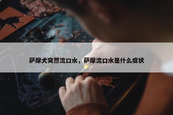 萨摩犬突然流口水，萨摩流口水是什么症状