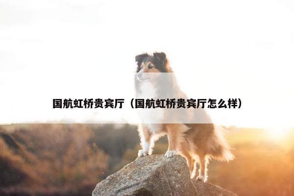 国航虹桥贵宾厅（国航虹桥贵宾厅怎么样）