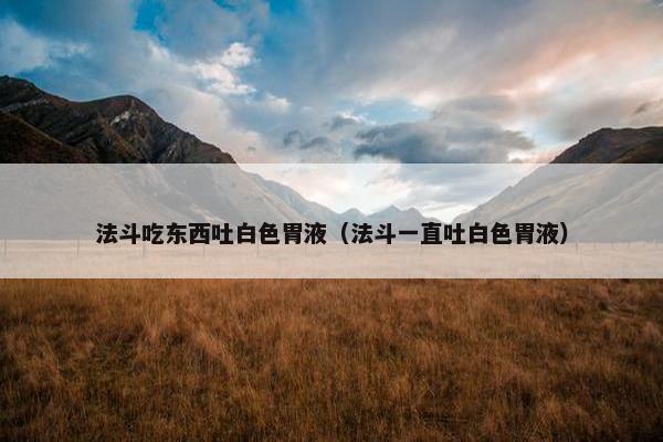 法斗吃东西吐白色胃液（法斗一直吐白色胃液）
