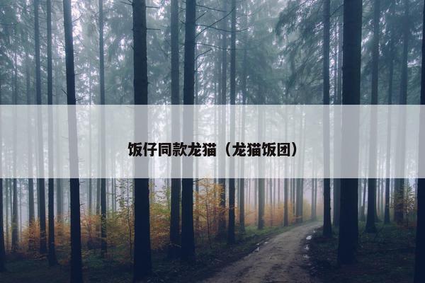 饭仔同款龙猫（龙猫饭团）