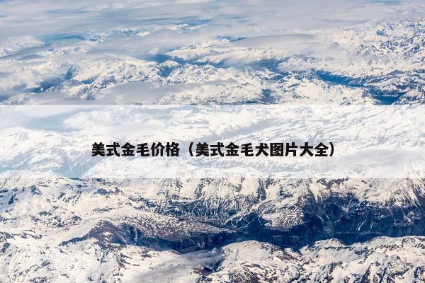 美式金毛价格（美式金毛犬图片大全）