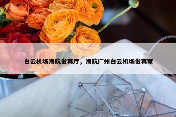 白云机场海航贵宾厅，海航广州白云机场贵宾室