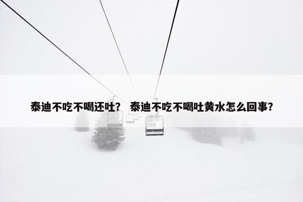 泰迪不吃不喝还吐？ 泰迪不吃不喝吐黄水怎么回事？