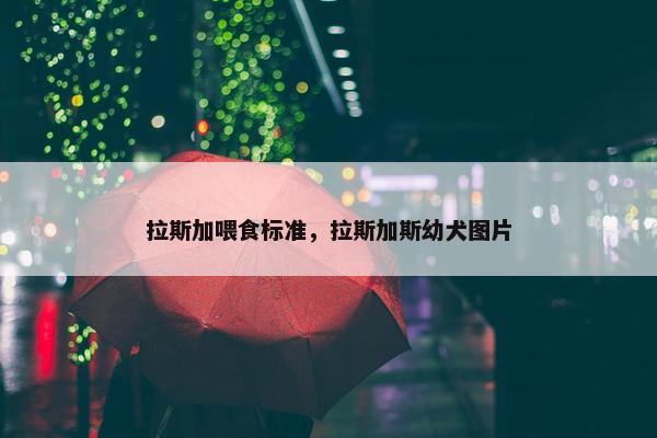 拉斯加喂食标准，拉斯加斯幼犬图片