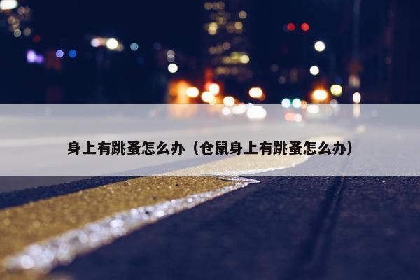 身上有跳蚤怎么办（仓鼠身上有跳蚤怎么办）