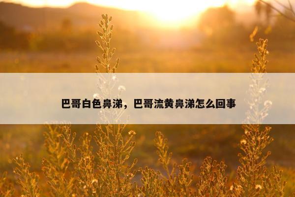 巴哥白色鼻涕，巴哥流黄鼻涕怎么回事
