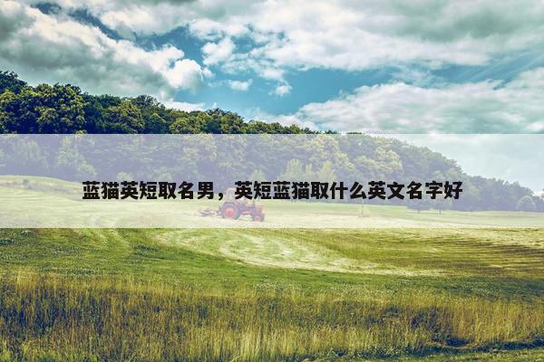 蓝猫英短取名男，英短蓝猫取什么英文名字好