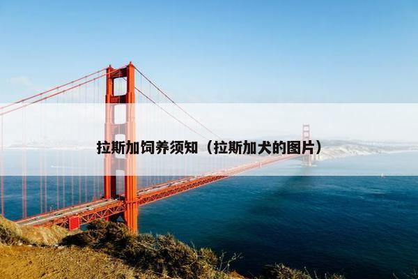 拉斯加饲养须知（拉斯加犬的图片）