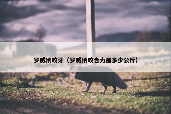 罗威纳咬牙（罗威纳咬合力是多少公斤）