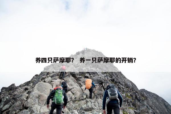 养四只萨摩耶？ 养一只萨摩耶的开销？