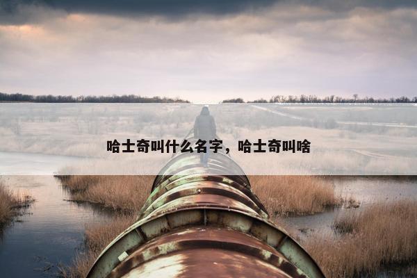 哈士奇叫什么名字，哈士奇叫啥