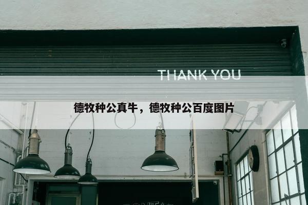 德牧种公真牛，德牧种公百度图片