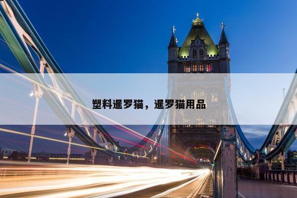 塑料暹罗猫，暹罗猫用品