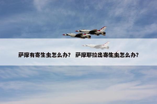 萨摩有寄生虫怎么办？ 萨摩耶拉出寄生虫怎么办？