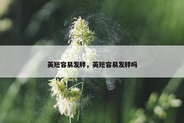 英短容易发胖，英短容易发胖吗