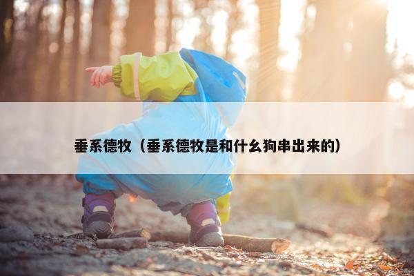垂系德牧（垂系德牧是和什幺狗串出来的）