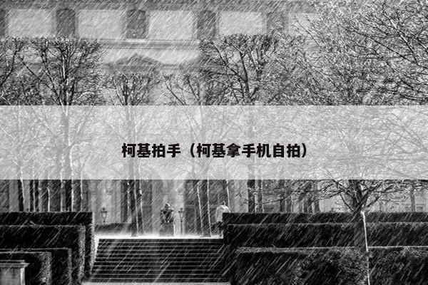 柯基拍手（柯基拿手机自拍）