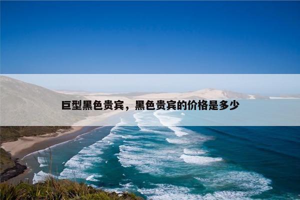 巨型黑色贵宾，黑色贵宾的价格是多少