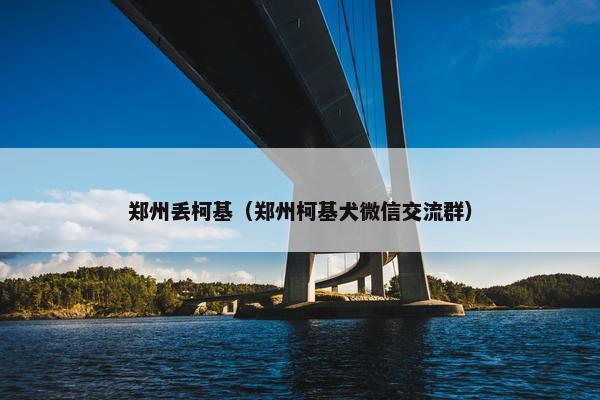 郑州丢柯基（郑州柯基犬微信交流群）