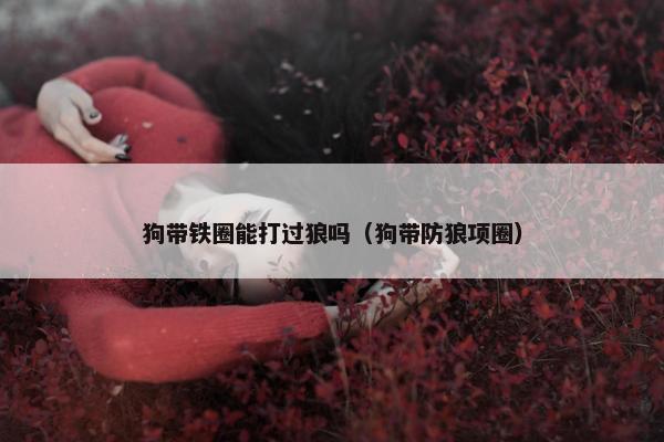狗带铁圈能打过狼吗（狗带防狼项圈）