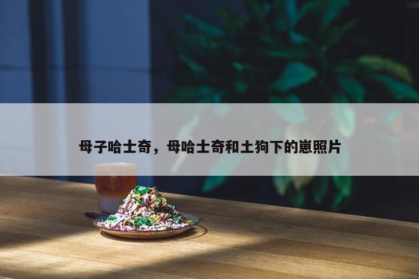 母子哈士奇，母哈士奇和土狗下的崽照片