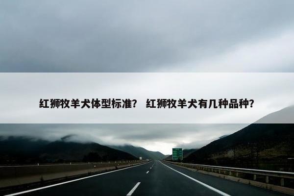 红狮牧羊犬体型标准？ 红狮牧羊犬有几种品种？